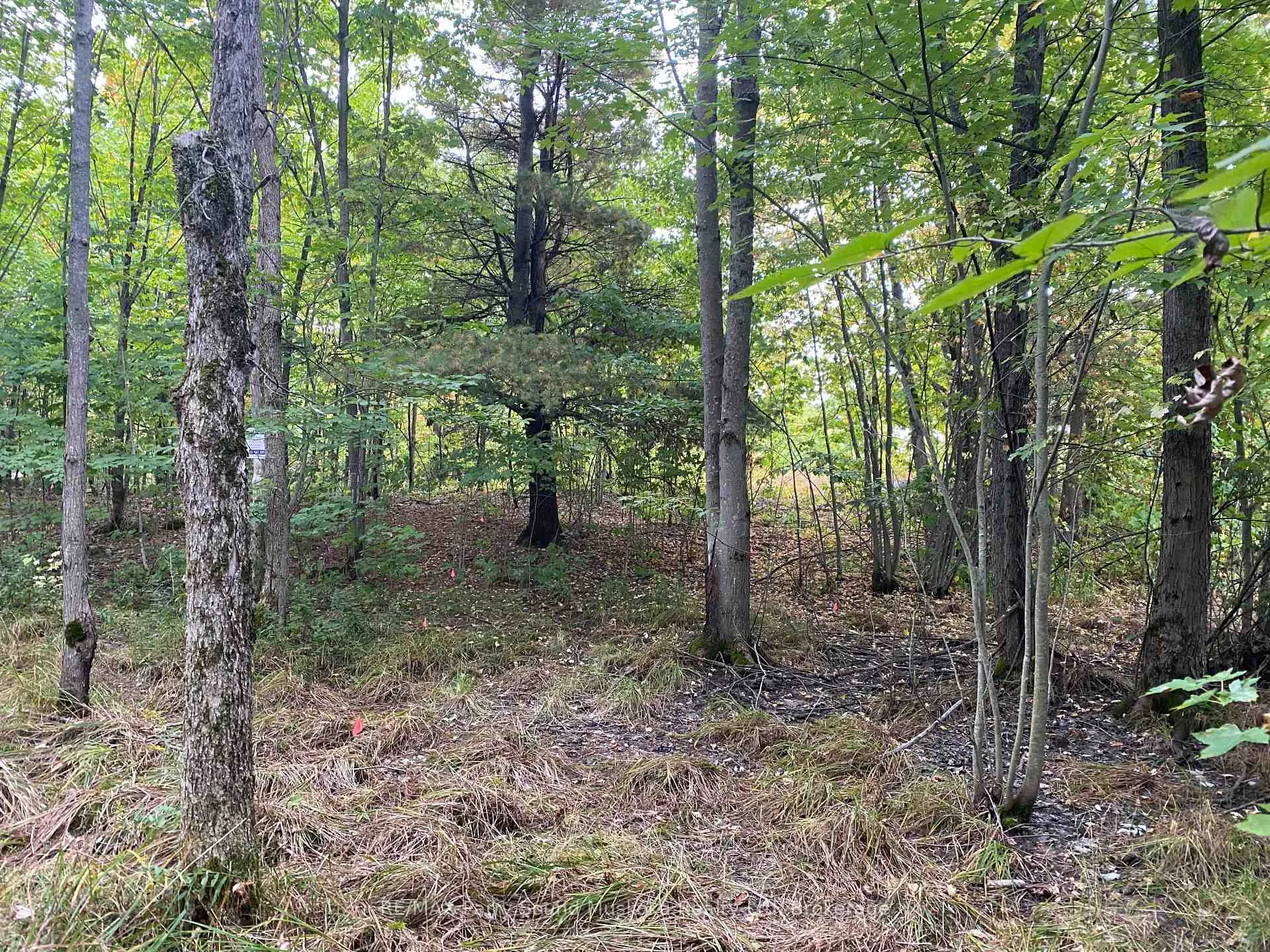 Photo 1 of 19 Turtle Lane, Seguin, McKellar — HOMEH