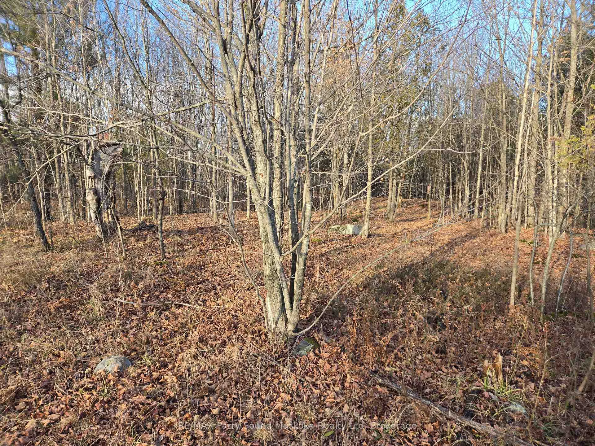 Photo 5 of 19 Turtle Lane, Seguin, McKellar — HOMEH