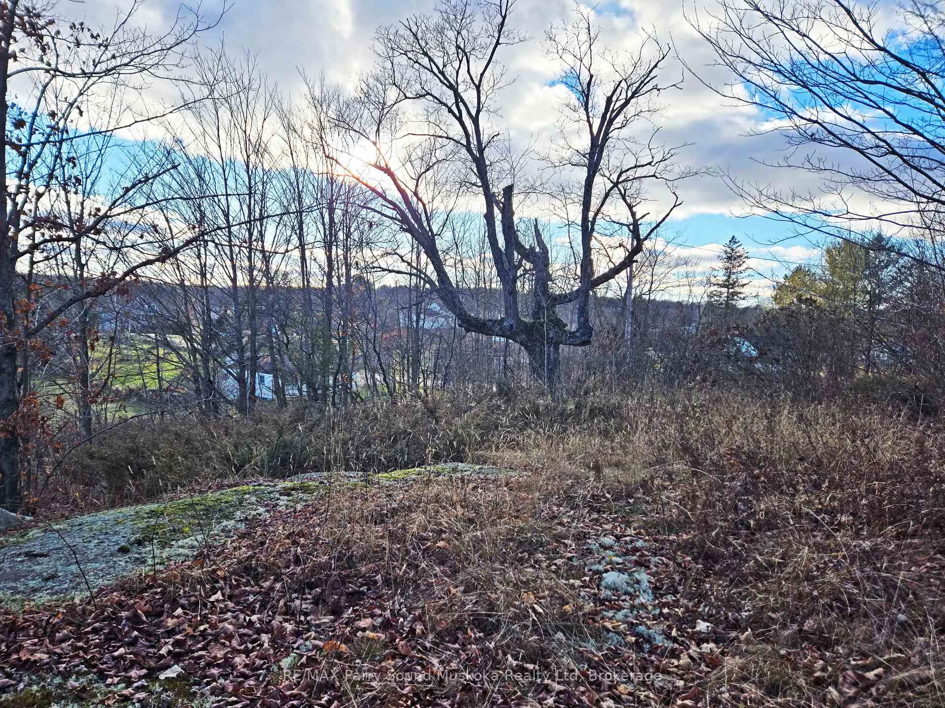 Photo 8 of 19 Turtle Lane, Seguin, McKellar — HOMEH