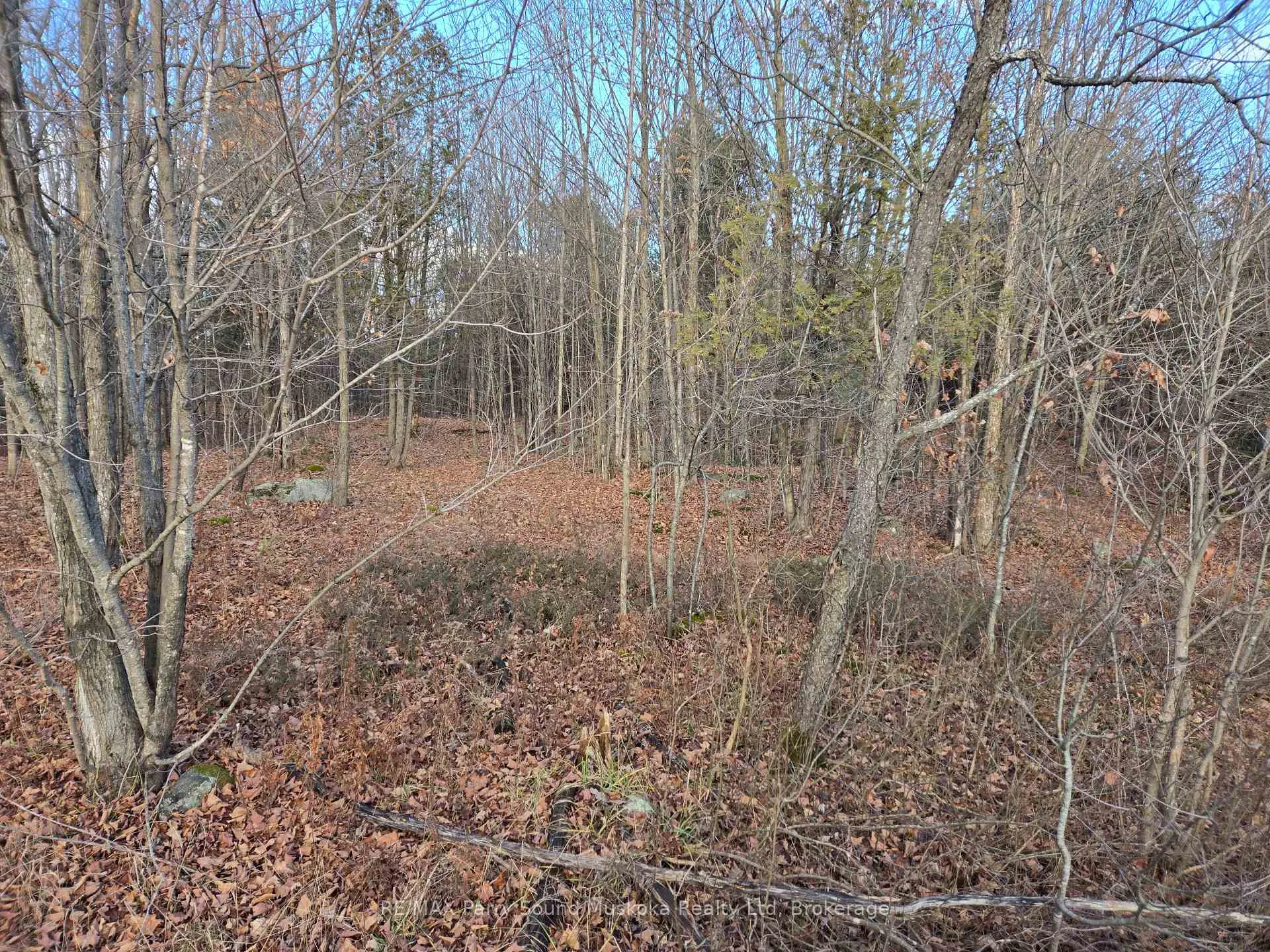 Photo 10 of 19 Turtle Lane, Seguin, McKellar — HOMEH