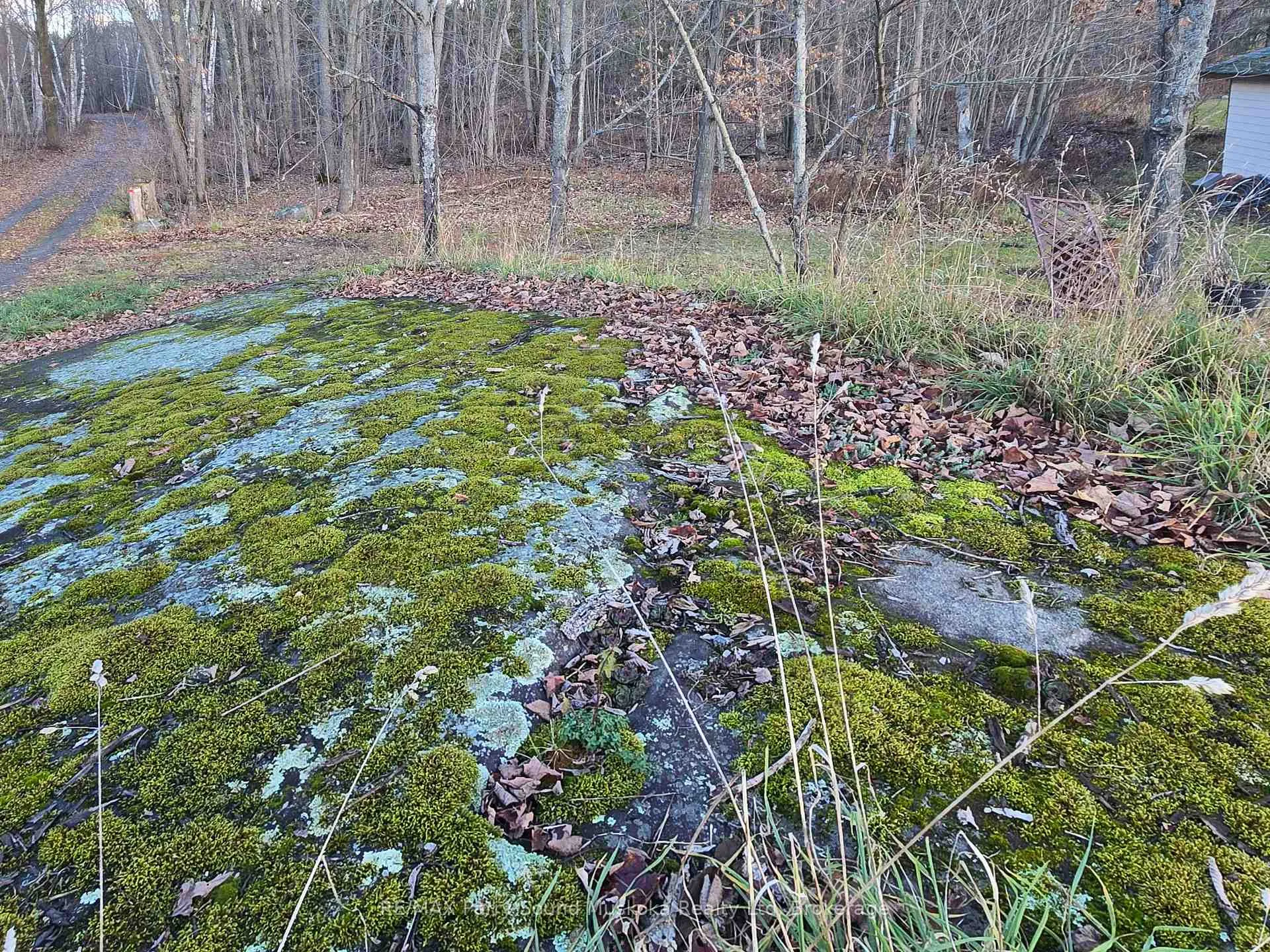 Photo 11 of 19 Turtle Lane, Seguin, McKellar — HOMEH