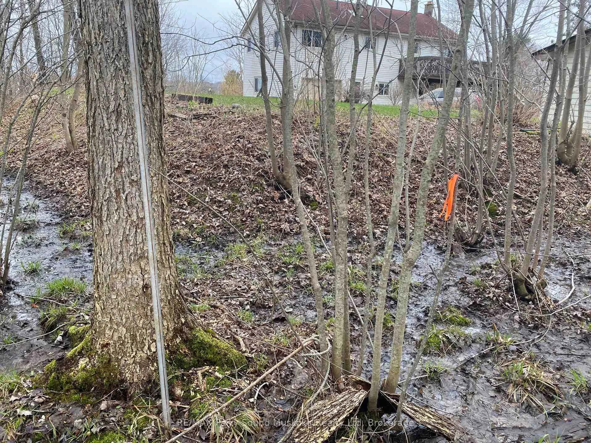 Photo 12 of 19 Turtle Lane, Seguin, McKellar — HOMEH