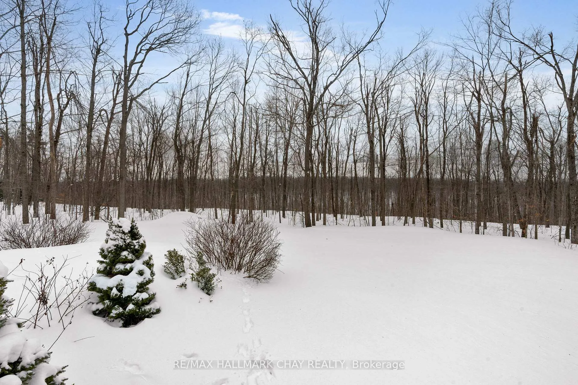 Photo 35 of 29 Maple Ridge Road, Oro-Medonte, Rural Oro-Medonte — HOMEH