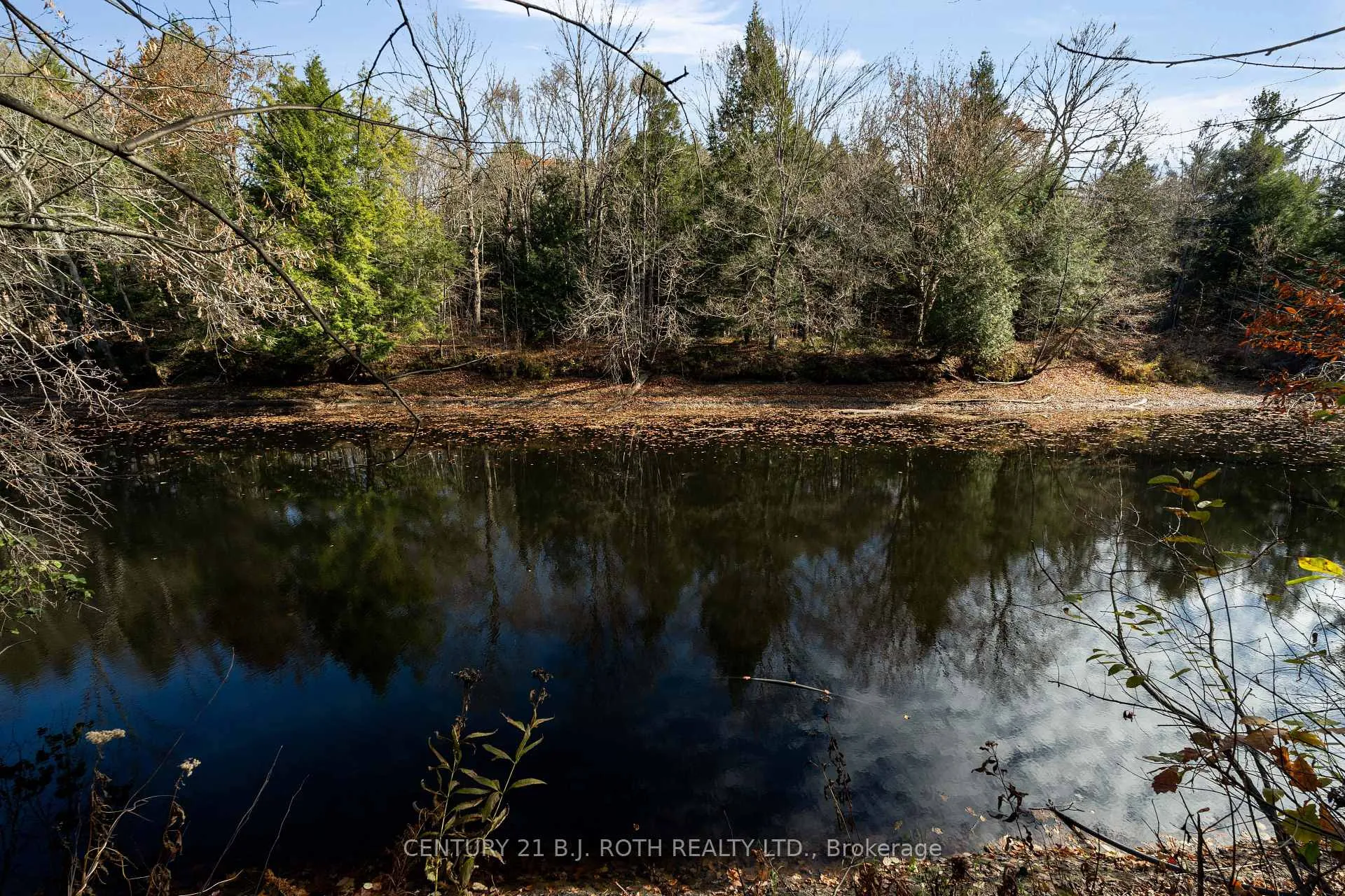 Photo 43 of 7333 Davy Drive, Ramara, Rural Ramara — HOMEH