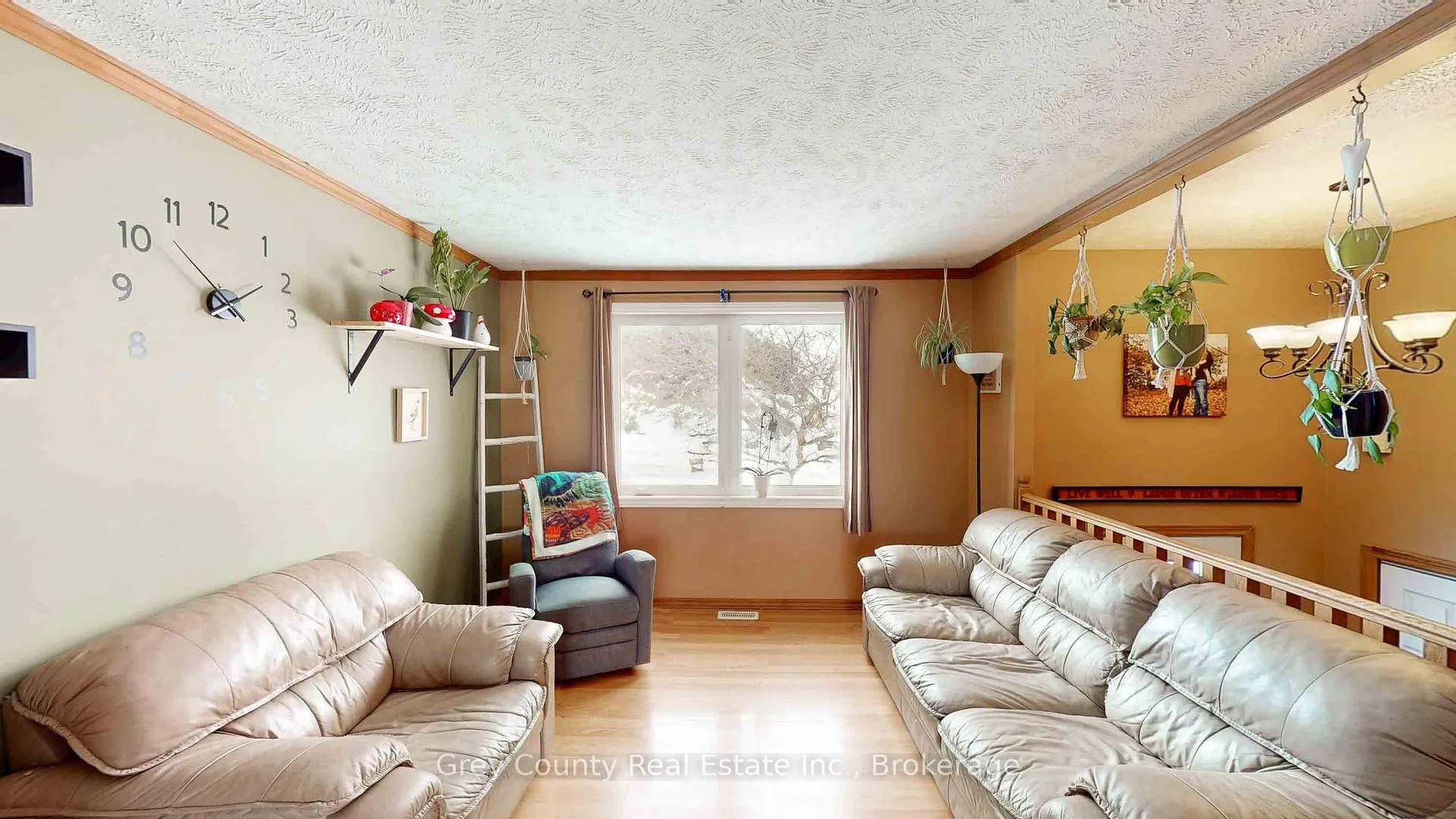 Photo 8 of 23 Brackenbury Street, Grey Highlands — HOMEH