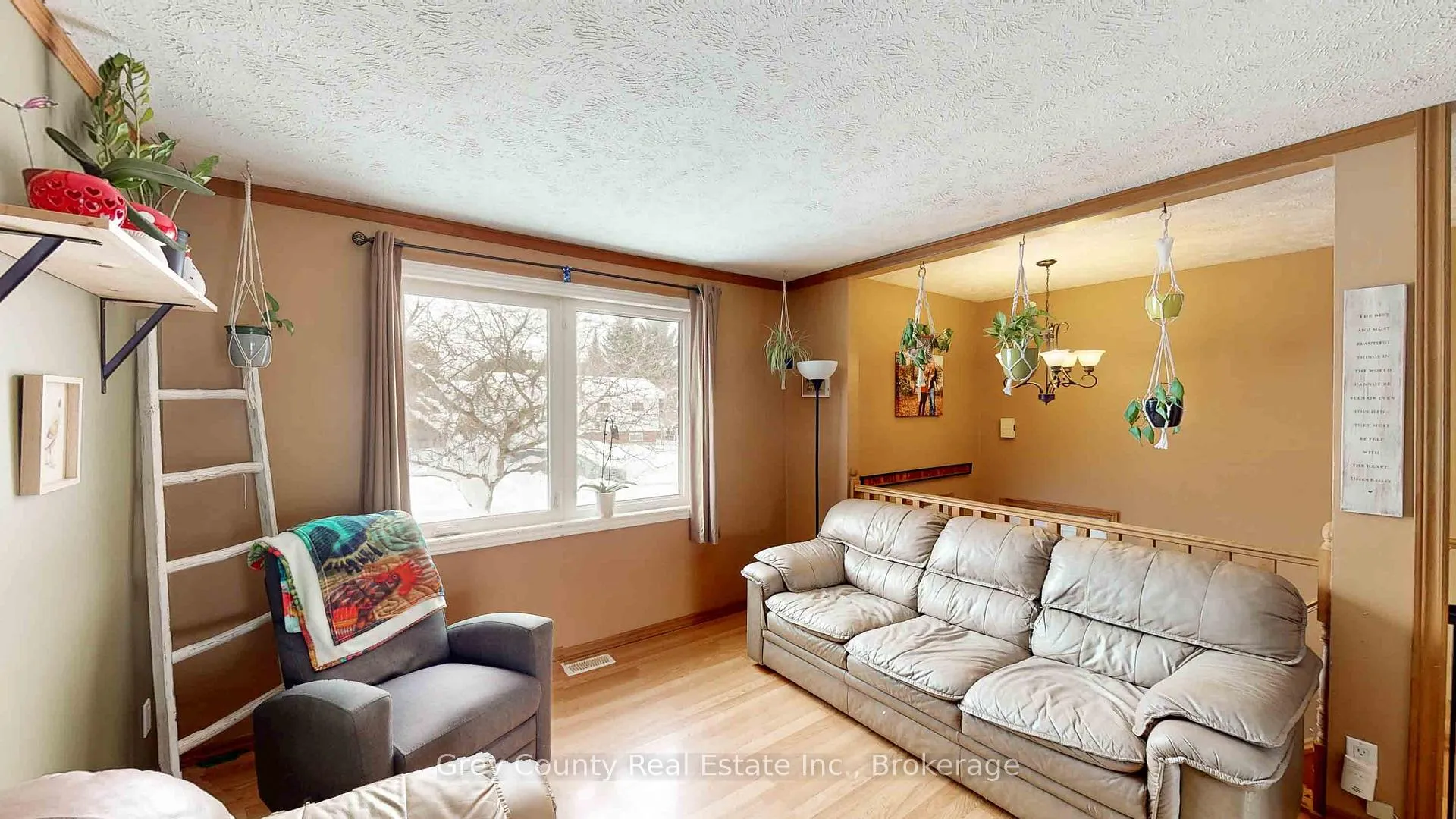 Photo 12 of 23 Brackenbury Street, Grey Highlands — HOMEH