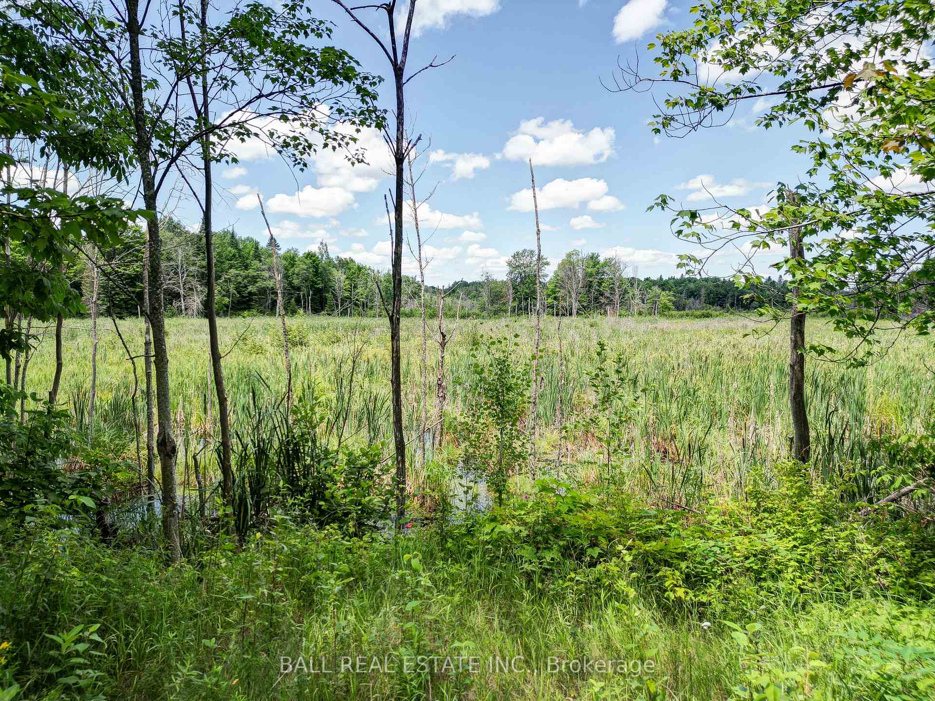 Photo 10 of 23447 Hwy 62, Limerick — HOMEH