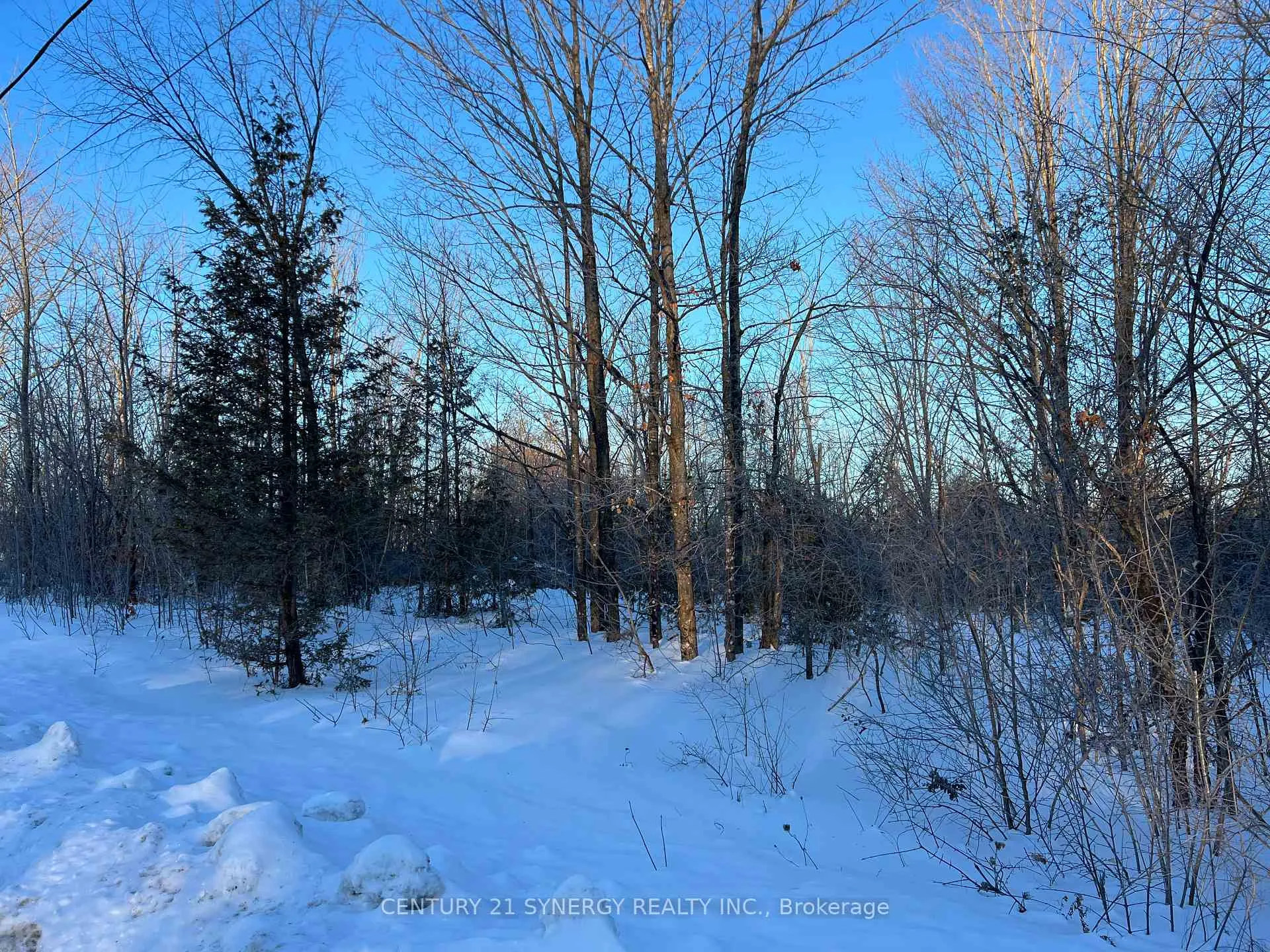 Photo 1 of 00 Mclachlin Road, Beckwith, Beckwith Twp — HOMEH