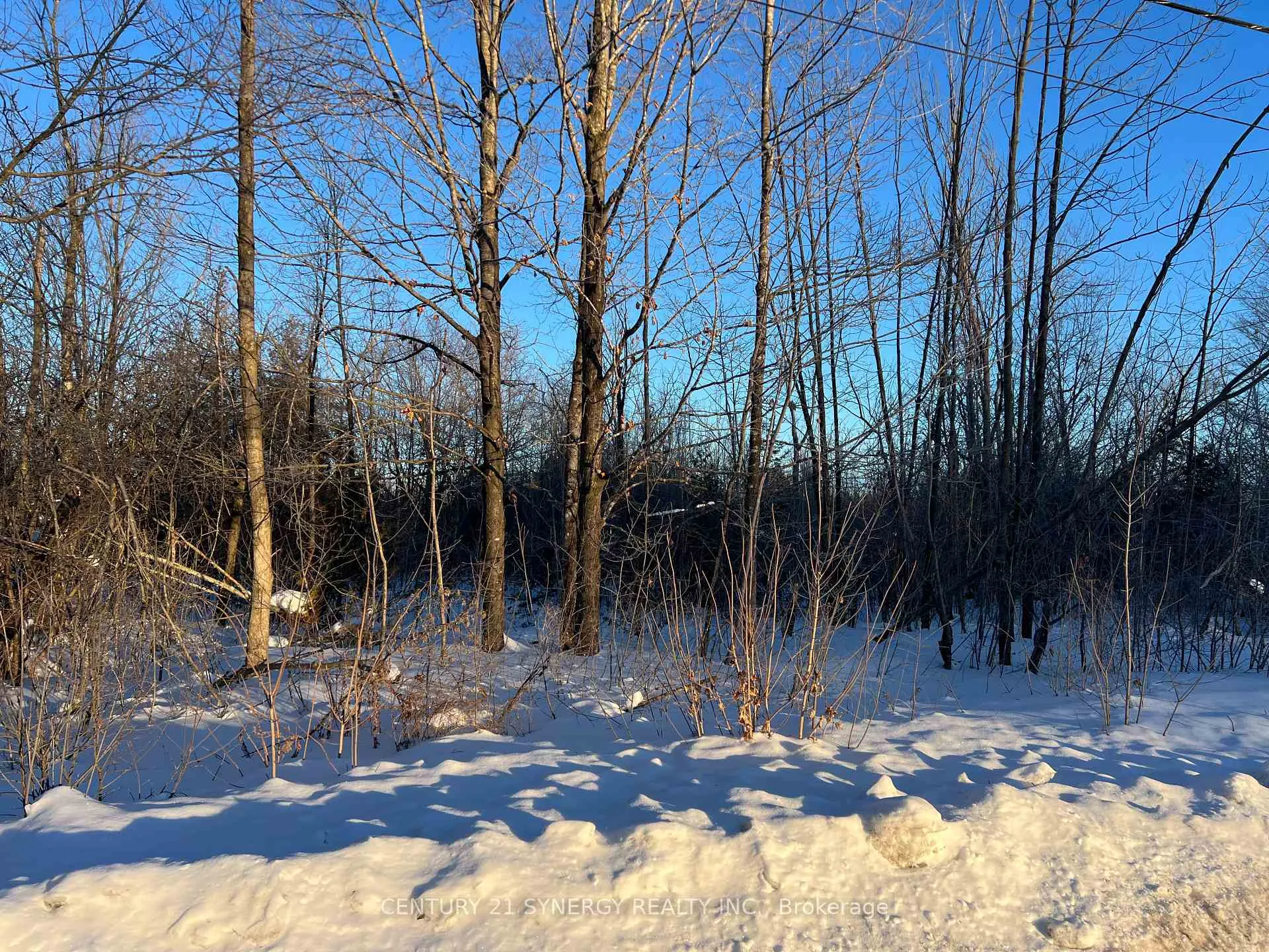 Photo 4 of 00 Mclachlin Road, Beckwith, Beckwith Twp — HOMEH