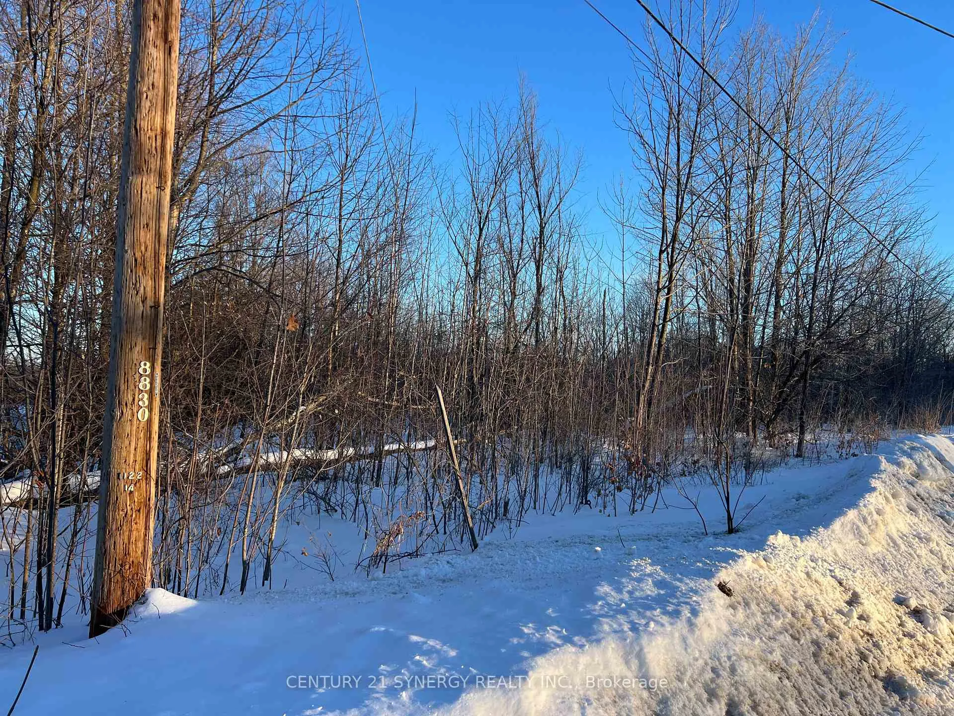 Photo 5 of 00 Mclachlin Road, Beckwith, Beckwith Twp — HOMEH