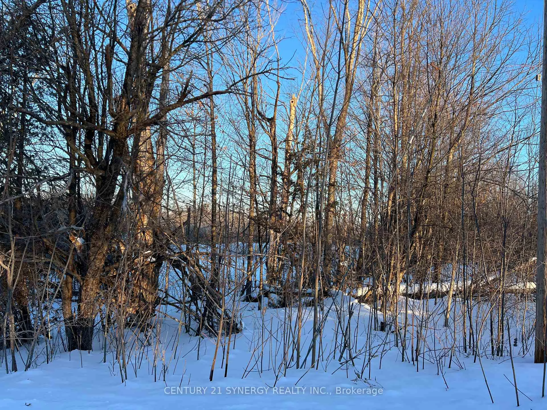 Photo 6 of 00 Mclachlin Road, Beckwith, Beckwith Twp — HOMEH