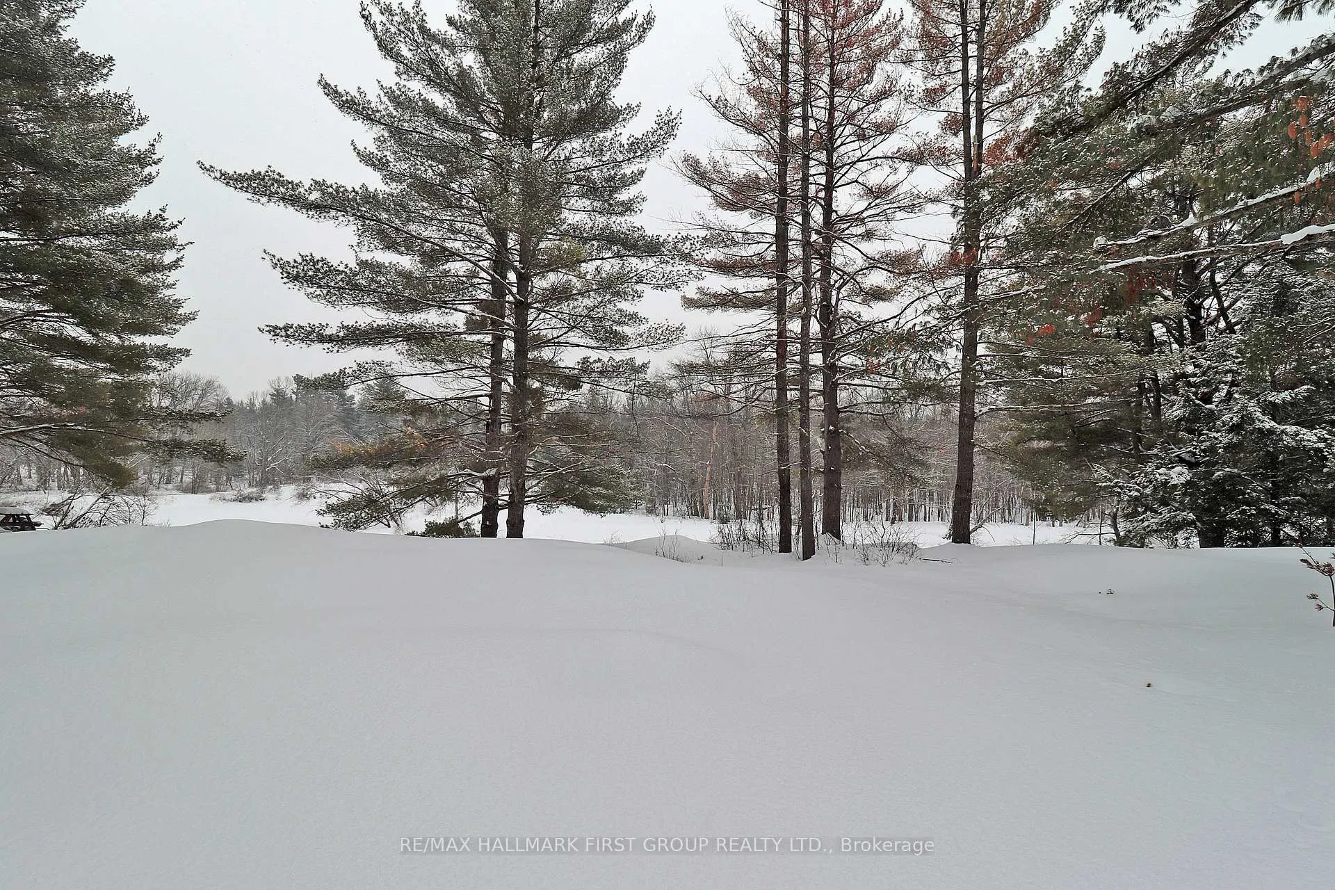 Photo 9 of 259 Nicholson Lane, Tweed, Elzevir (Twp) — HOMEH