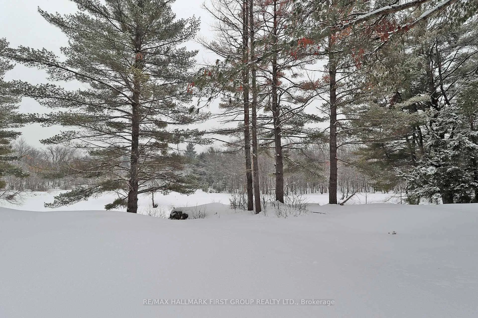 Photo 10 of 259 Nicholson Lane, Tweed, Elzevir (Twp) — HOMEH