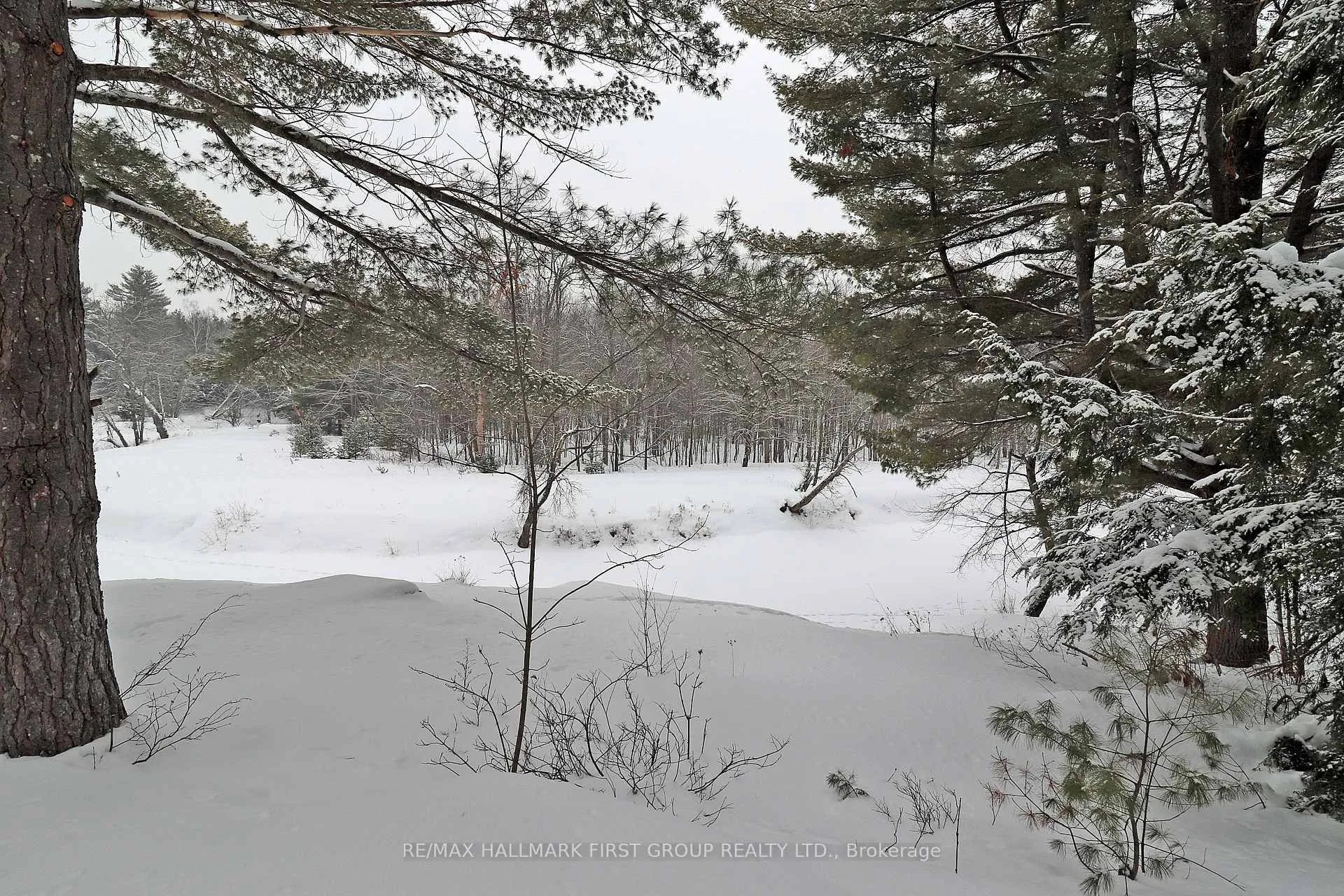 Photo 11 of 259 Nicholson Lane, Tweed, Elzevir (Twp) — HOMEH