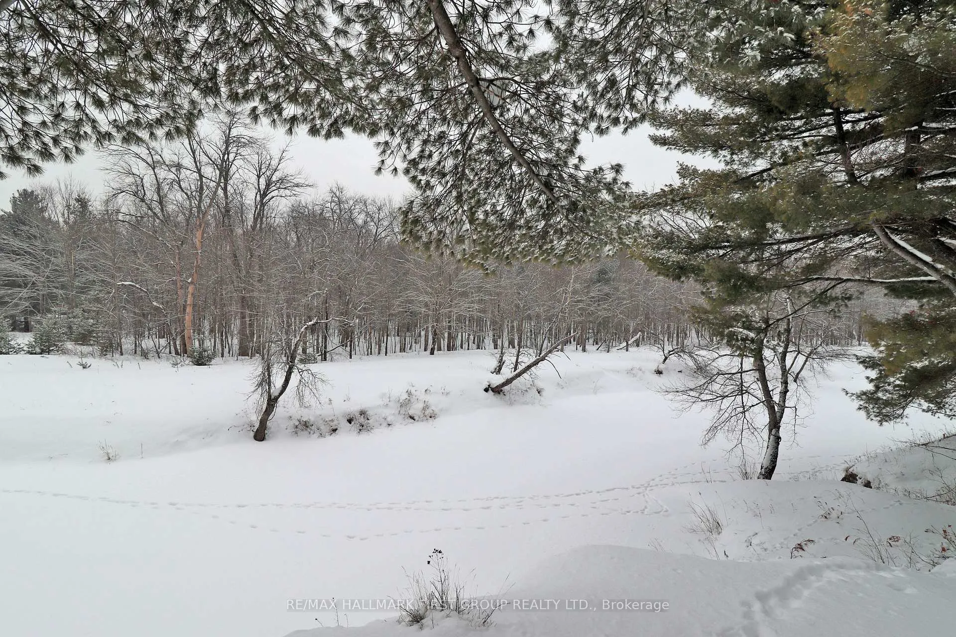 Photo 13 of 259 Nicholson Lane, Tweed, Elzevir (Twp) — HOMEH