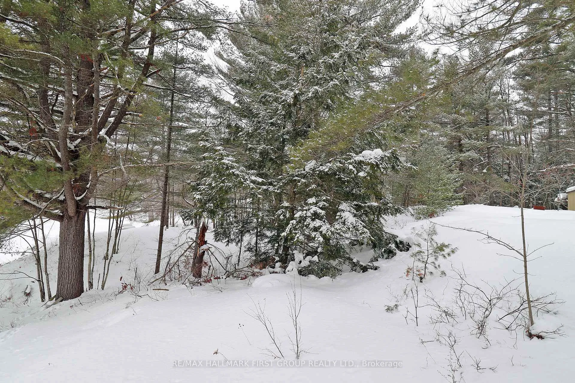 Photo 15 of 259 Nicholson Lane, Tweed, Elzevir (Twp) — HOMEH