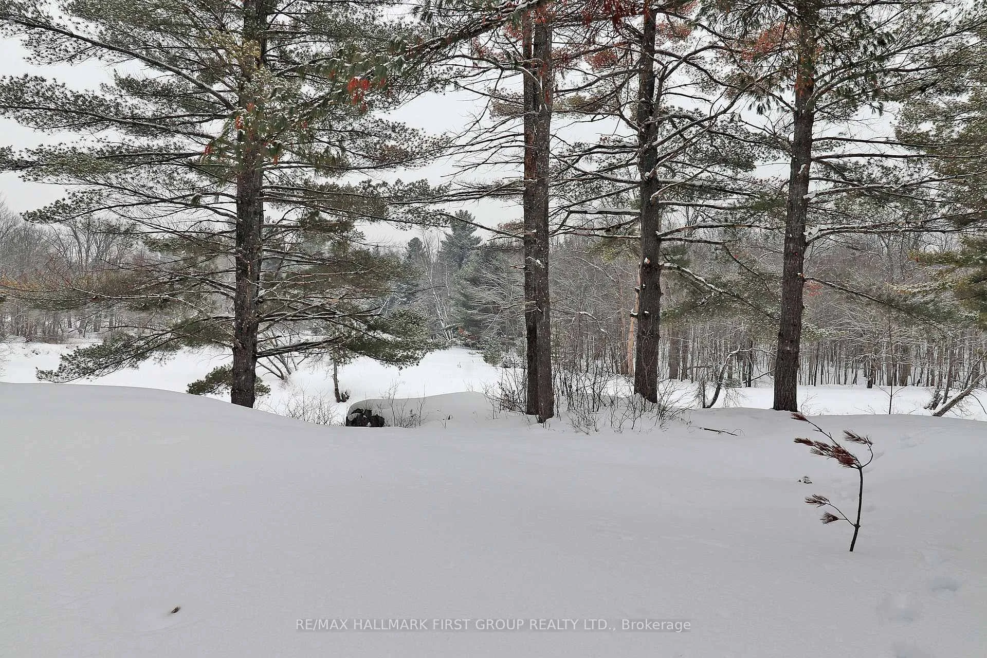Photo 24 of 259 Nicholson Lane, Tweed, Elzevir (Twp) — HOMEH