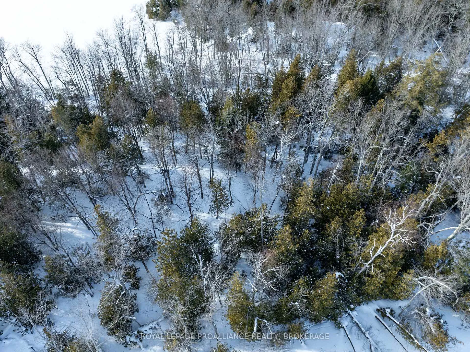 Photo 36 of PT Island B Gracey's Island, Frontenac, Frontenac Centre — HOMEH