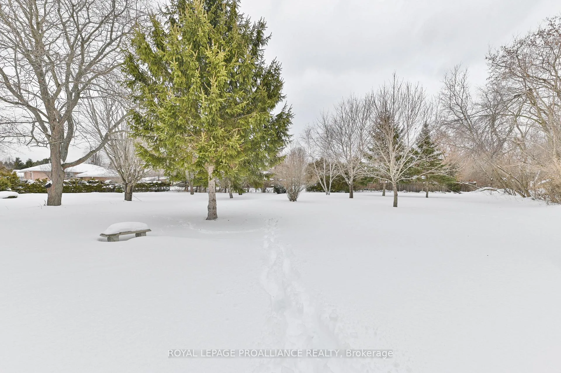 Photo 41 of 133 Ontario Street, Brighton — HOMEH