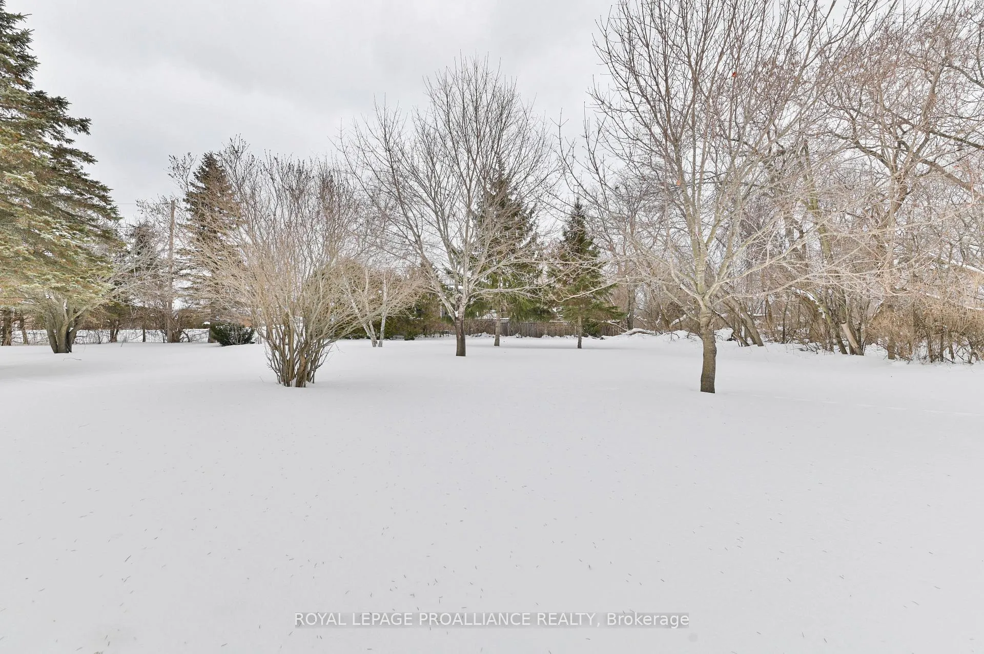 Photo 42 of 133 Ontario Street, Brighton — HOMEH