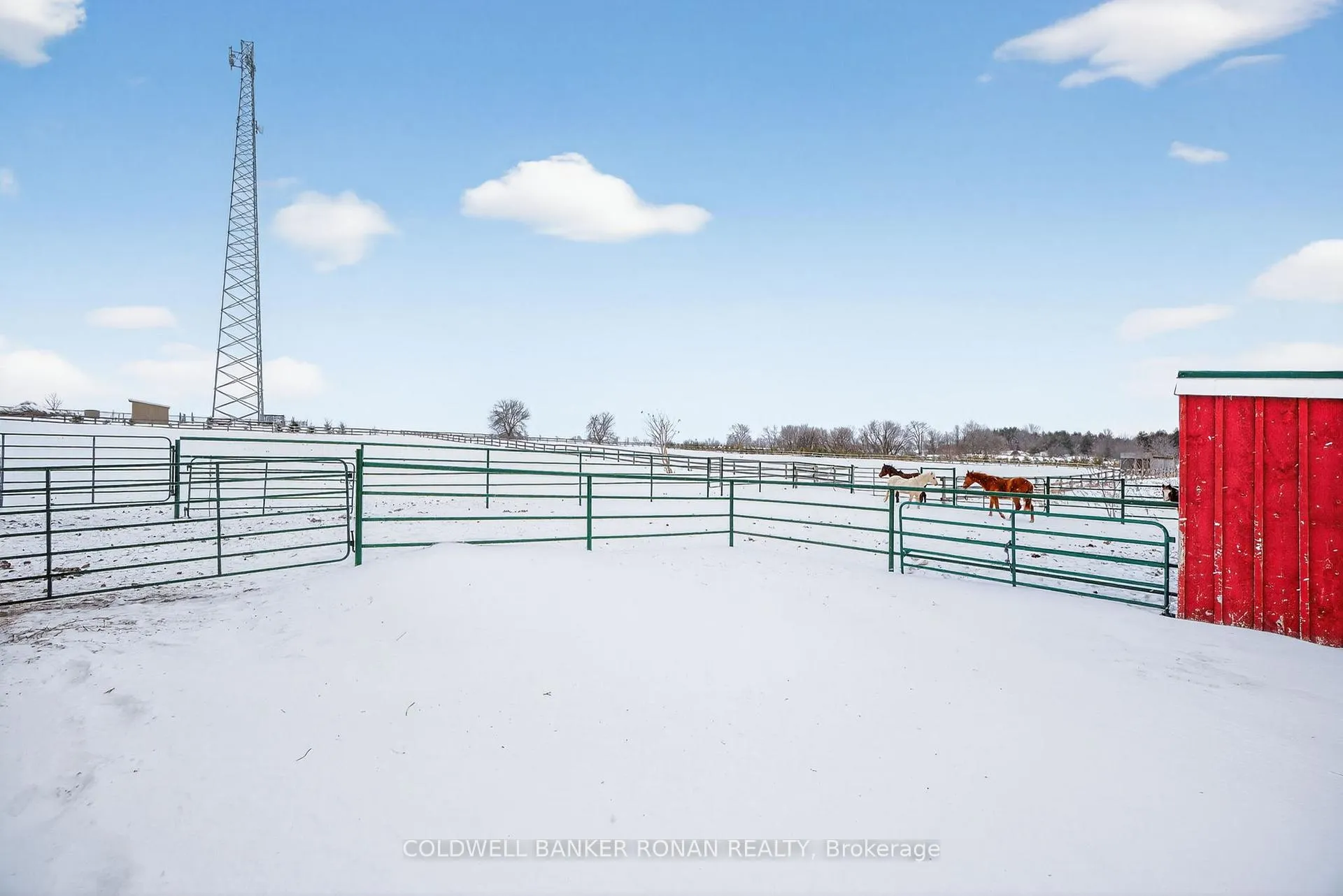 Photo 42 of 4886 15th Side Road, New Tecumseth, Rural New Tecumseth — HOMEH