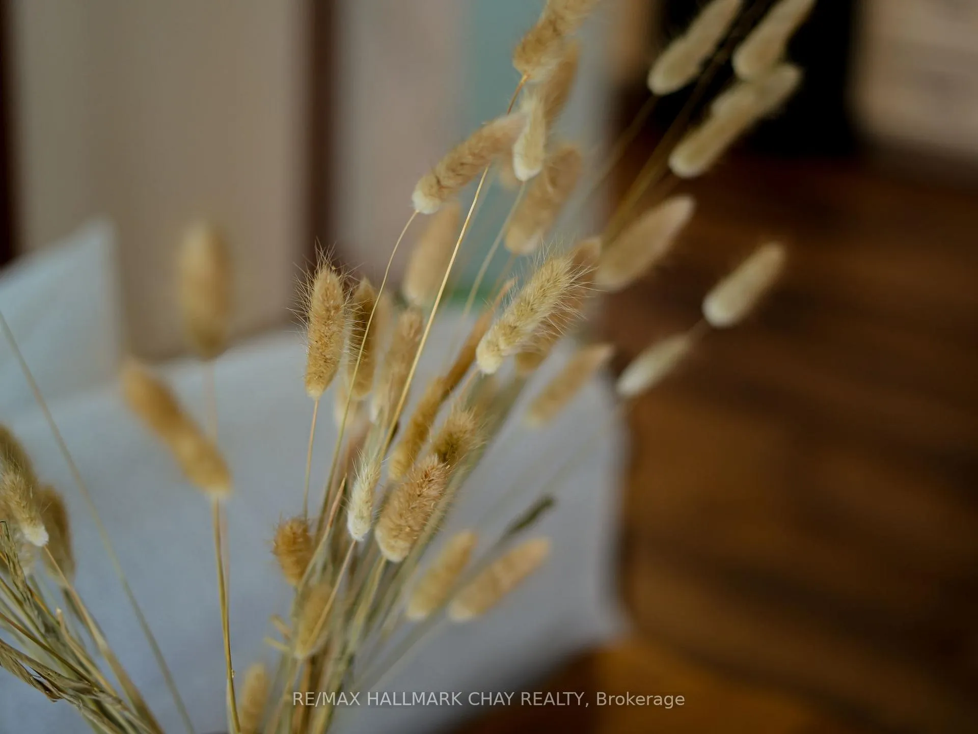 Photo 25 of 1 Pine River Crescent, Mulmur, Rural Mulmur — HOMEH