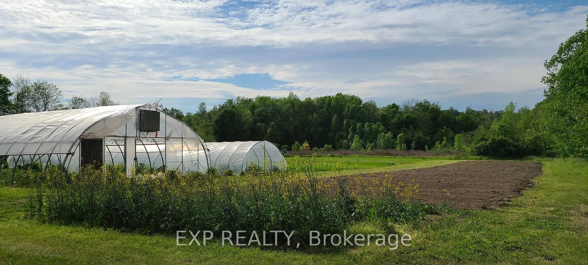 Photo 27 of 81 Morrison Point, Prince Edward County, South Marysburg Ward — HOMEH