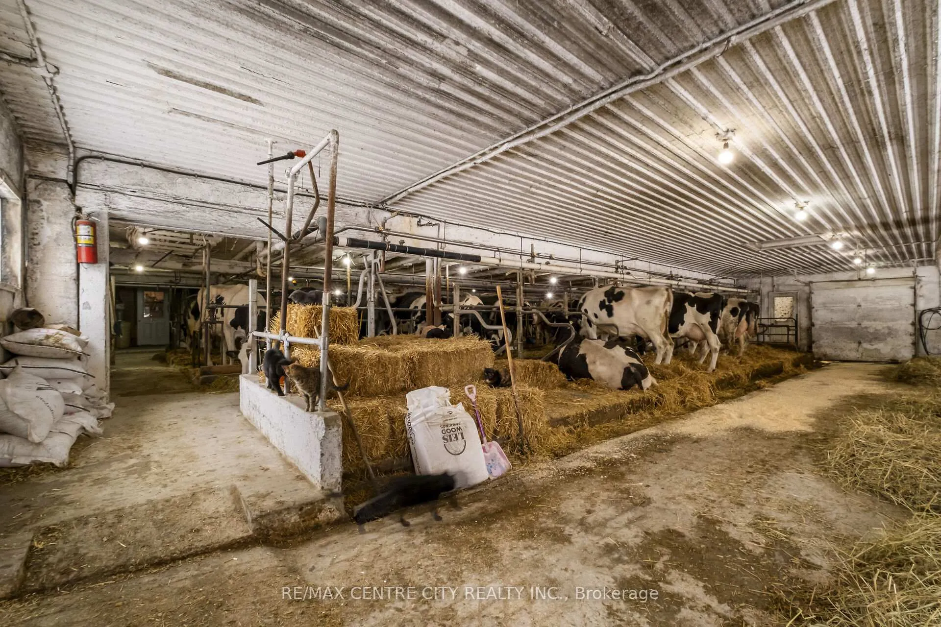 Photo 21 of 5205 13th Line, Minto — HOMEH