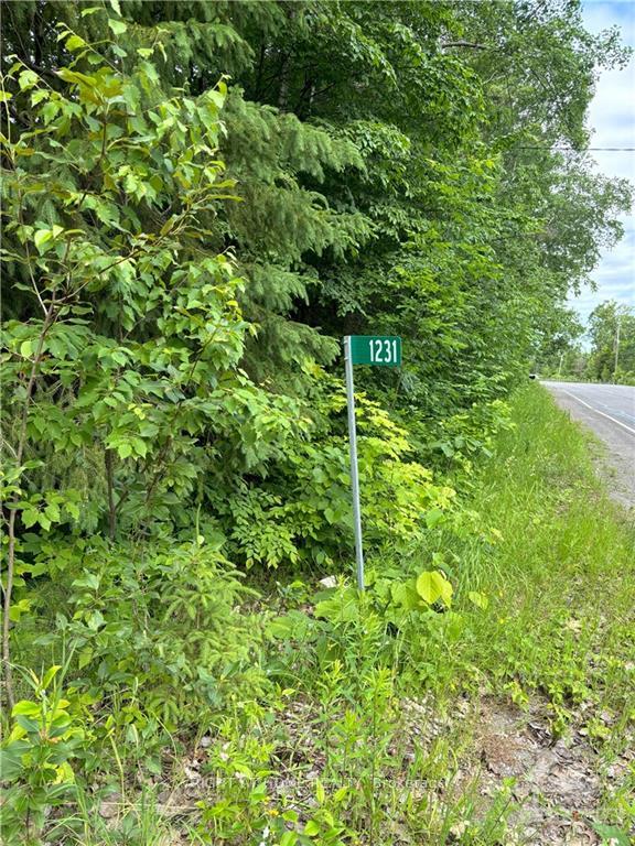 Photo 1 of 1231 River Road, McNab/Braeside, Mcnab/Braeside Twps — HOMEH