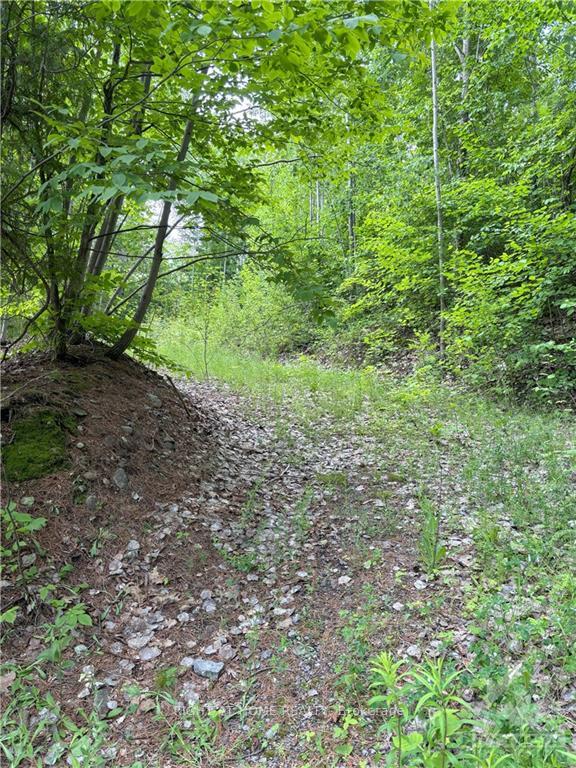 Photo 3 of 1231 River Road, McNab/Braeside, Mcnab/Braeside Twps — HOMEH