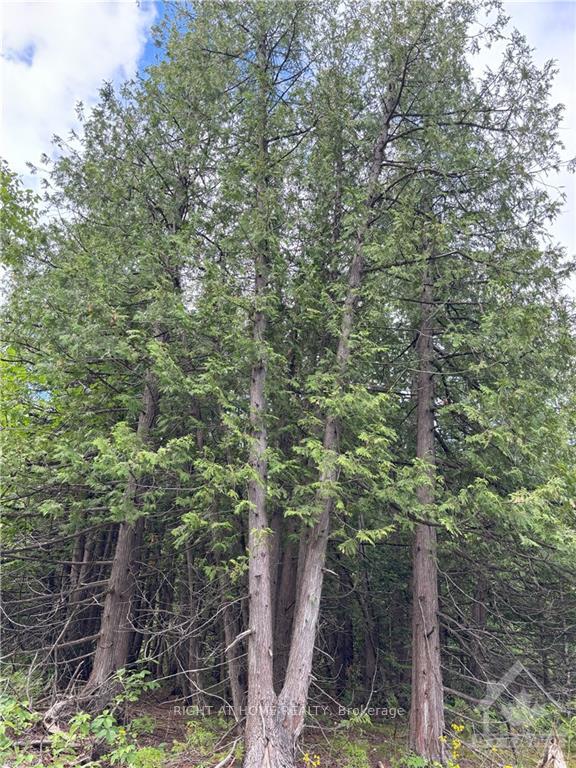 Photo 5 of 1231 River Road, McNab/Braeside, Mcnab/Braeside Twps — HOMEH