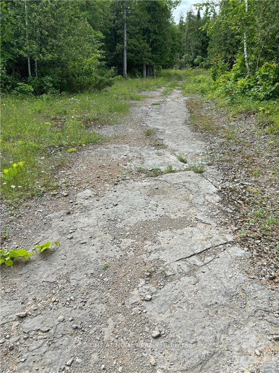 Photo 6 of 1231 River Road, McNab/Braeside, Mcnab/Braeside Twps — HOMEH