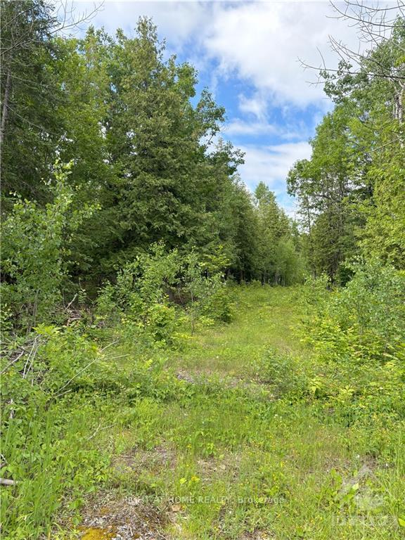 Photo 7 of 1231 River Road, McNab/Braeside, Mcnab/Braeside Twps — HOMEH