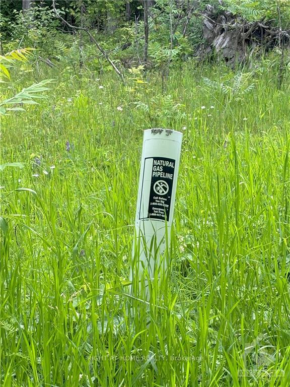 Photo 8 of 1231 River Road, McNab/Braeside, Mcnab/Braeside Twps — HOMEH