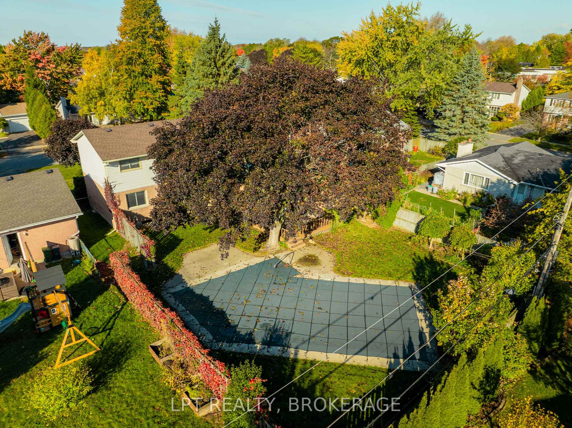 Photo 4 of 168 Braemar Road, Kingston, City Southwest — HOMEH