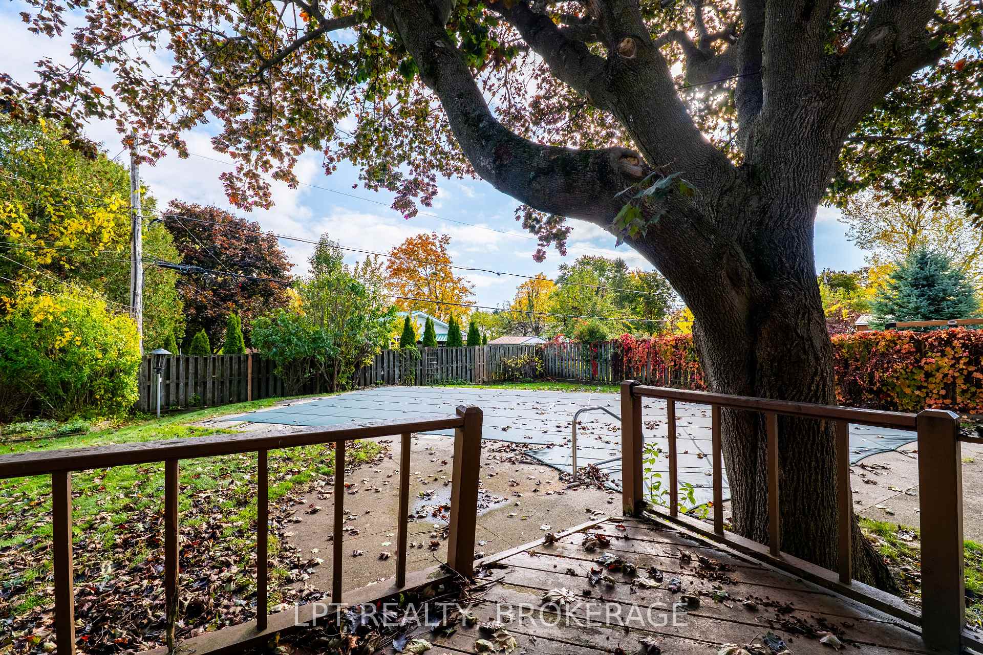 Photo 9 of 168 Braemar Road, Kingston, City Southwest — HOMEH