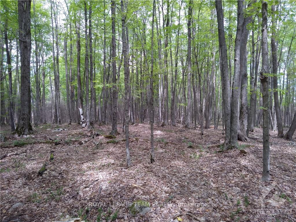 Photo 5 of 00 Tempo Road, Lanark Highlands, Lanark Highlands (Lanark) Twp — HOMEH