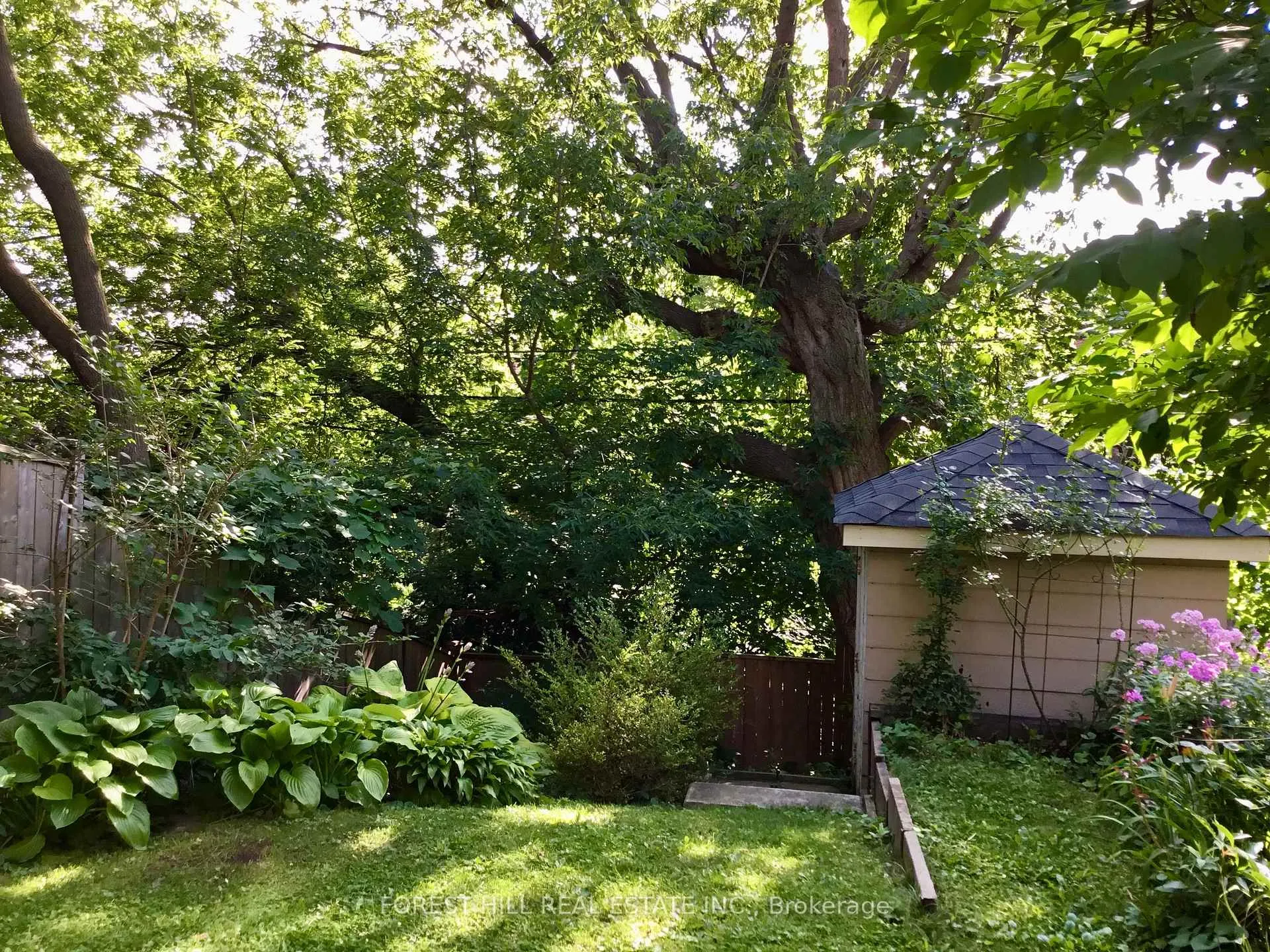 Photo 47 of 18 Alberta Avenue, Toronto, Wychwood — HOMEH