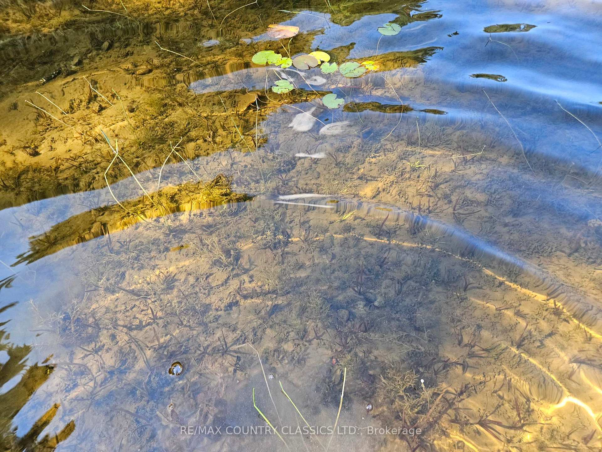 Photo 36 of 13 Lorbetski Road, Madawaska Valley, Madawaska Valley — HOMEH