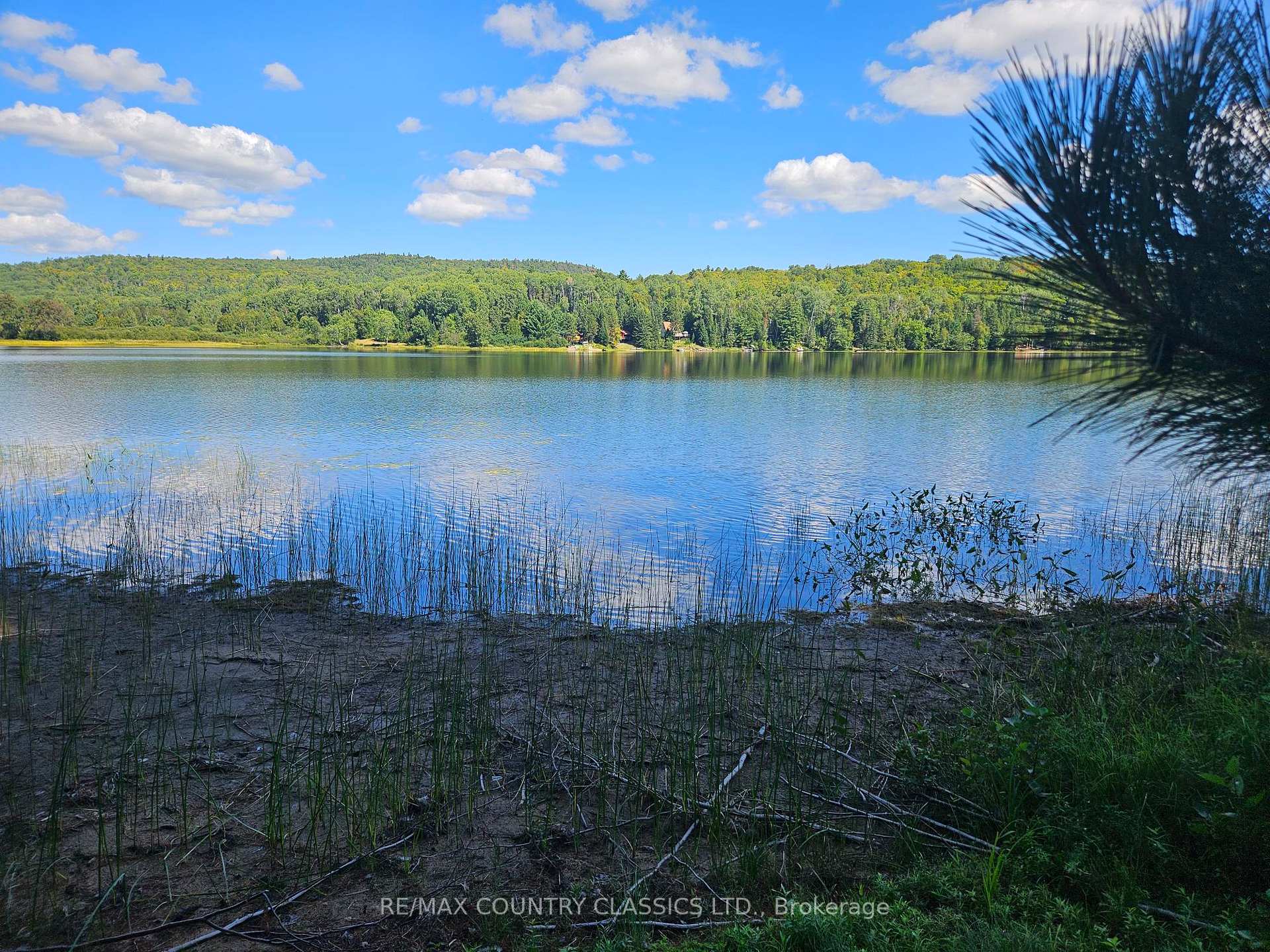 Photo 39 of 13 Lorbetski Road, Madawaska Valley, Madawaska Valley — HOMEH