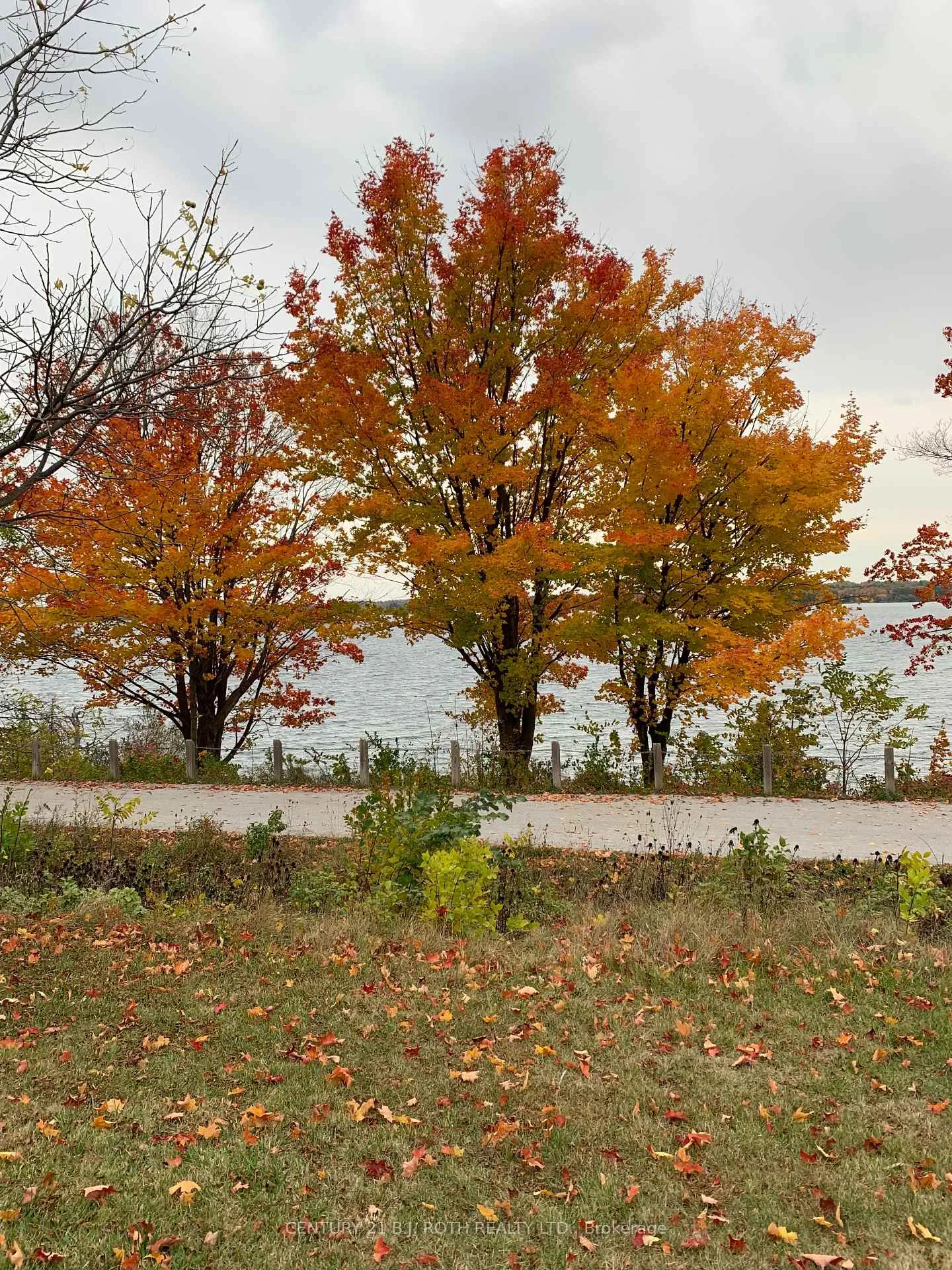 Photo 42 of 14 St Vincent Street, Barrie, North Shore — HOMEH