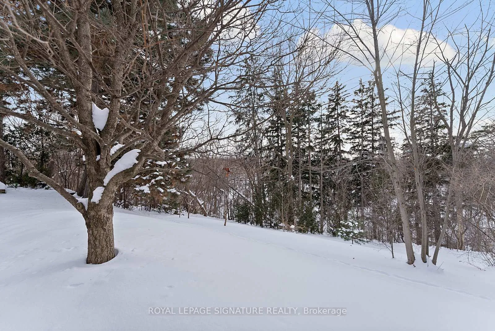 Photo 42 of 11 Golf View Drive, Brampton, Brampton East — HOMEH