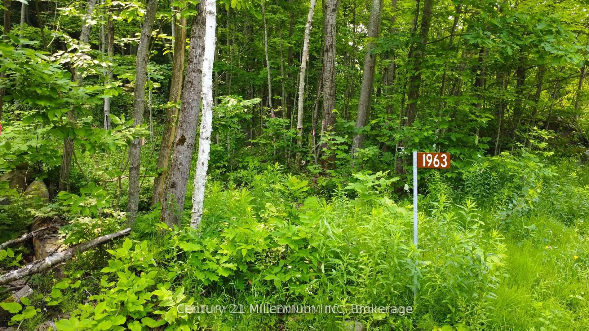 Photo 2 of Lot 52 Tiny Beaches Road N, Tiny, Rural Tiny — HOMEH