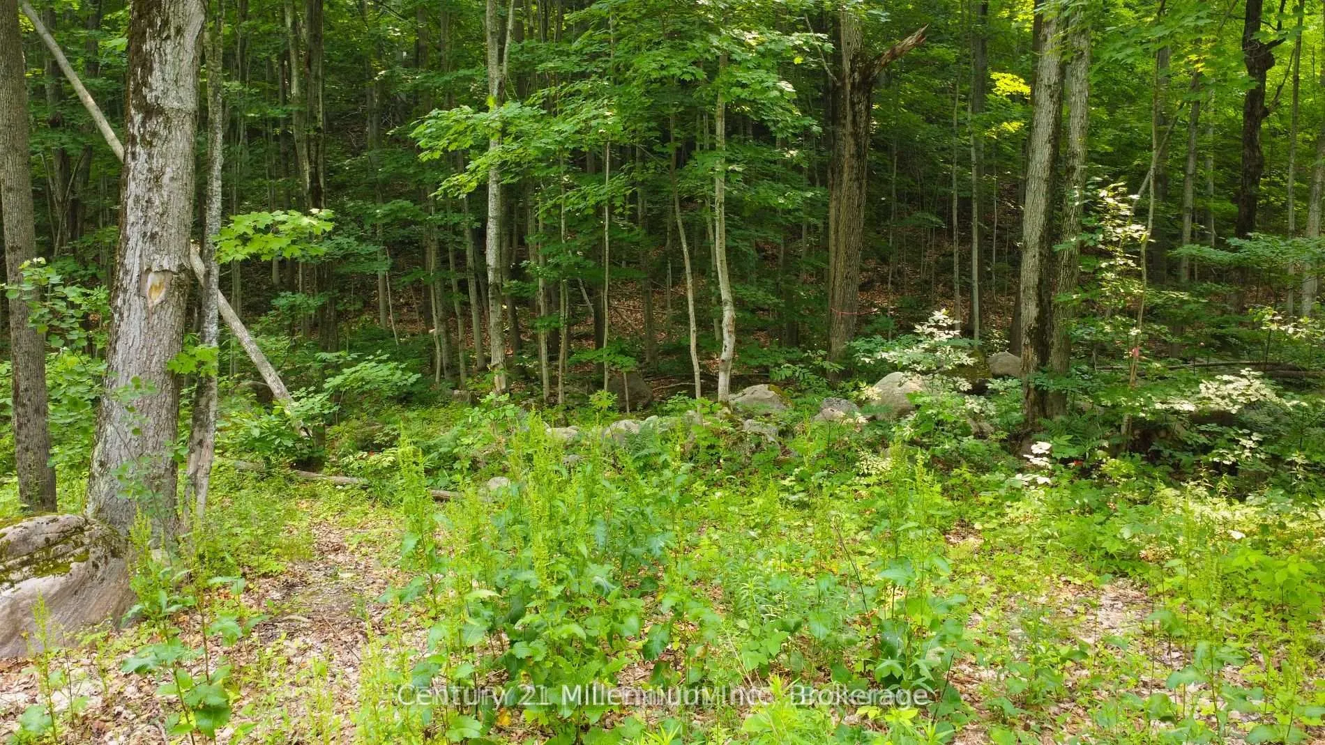 Photo 3 of Lot 52 Tiny Beaches Road N, Tiny, Rural Tiny — HOMEH