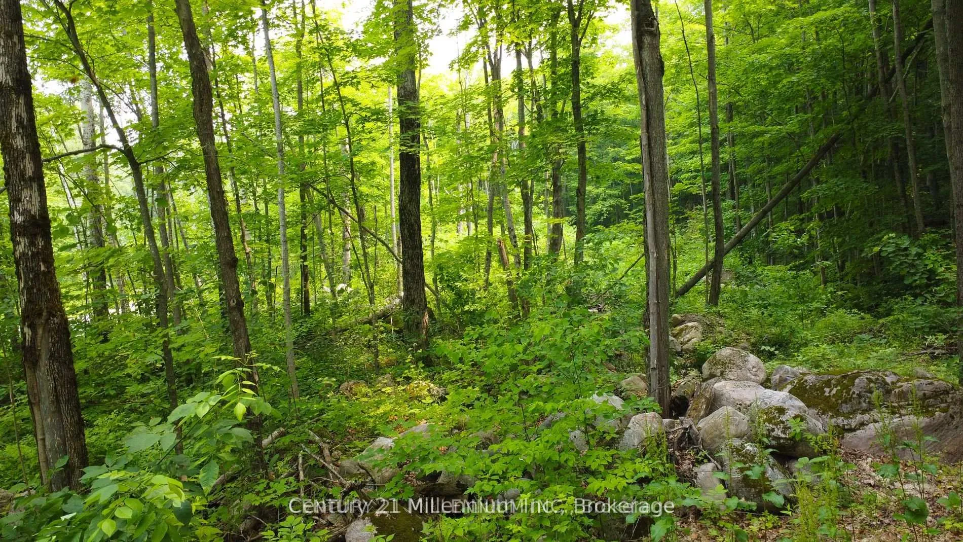Photo 4 of Lot 52 Tiny Beaches Road N, Tiny, Rural Tiny — HOMEH