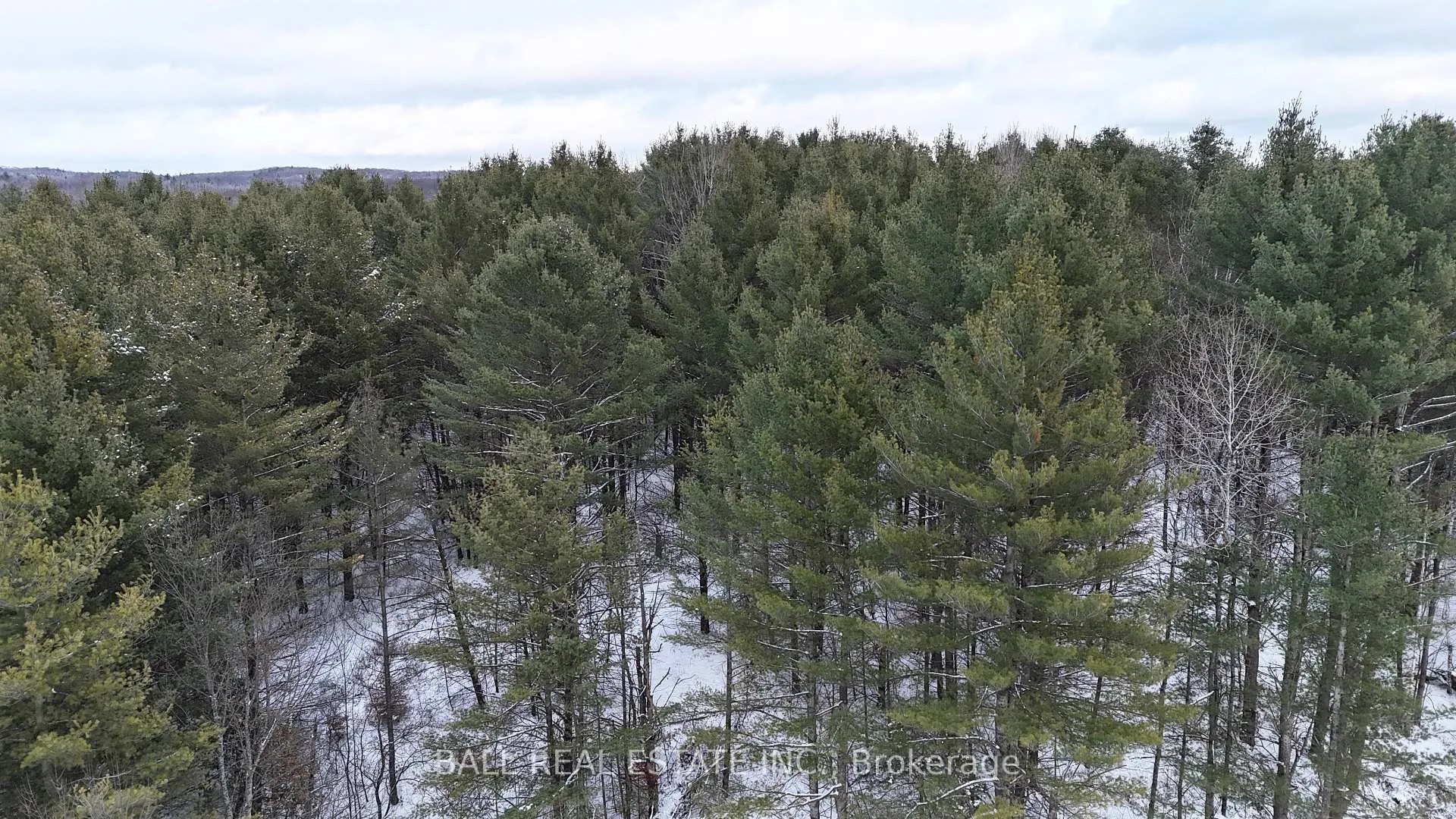 Photo 3 of Highway 62 S, Bancroft, Dungannon Ward — HOMEH