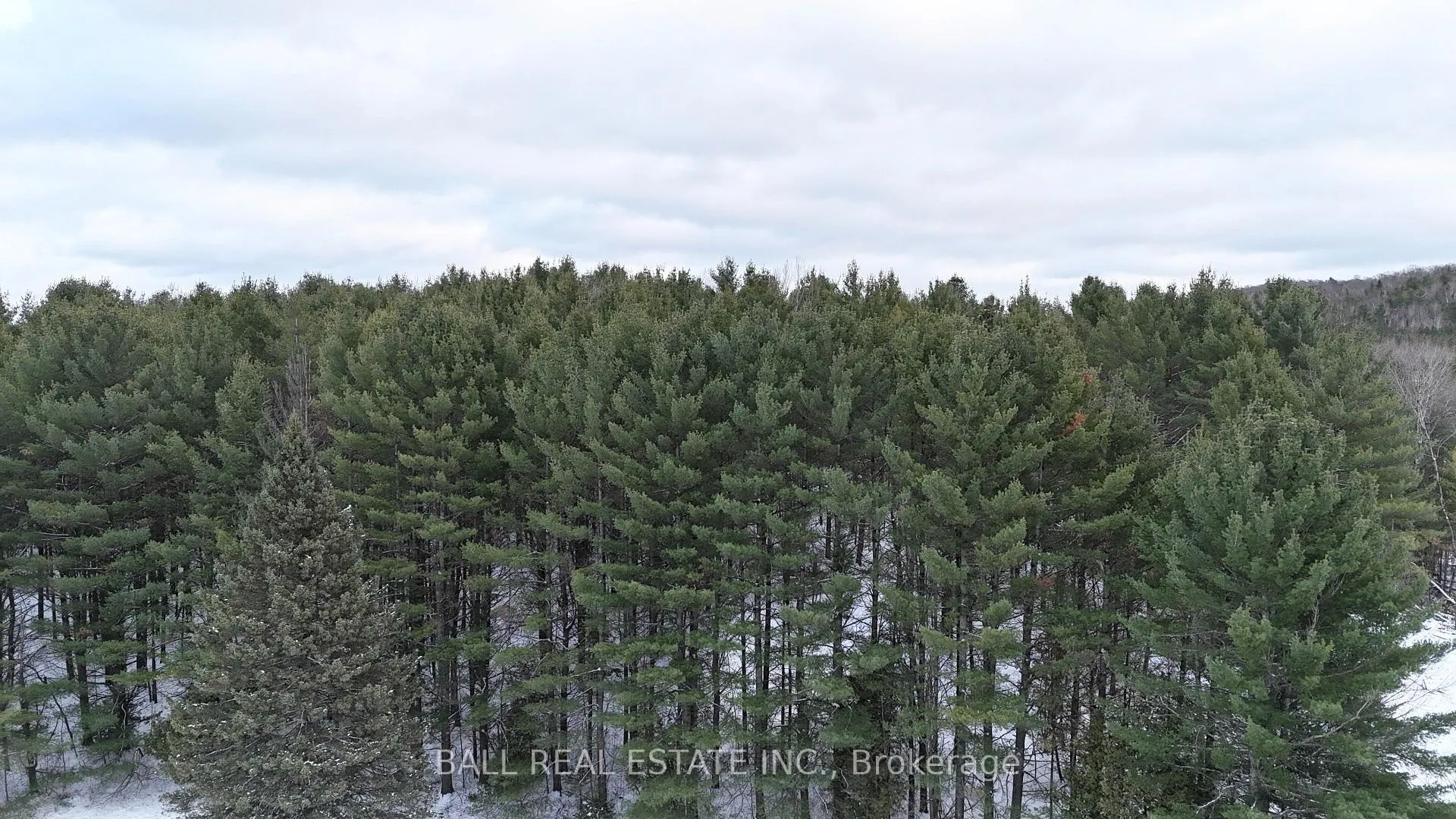 Photo 4 of Highway 62 S, Bancroft, Dungannon Ward — HOMEH