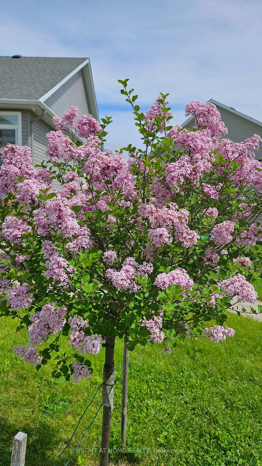 Photo 43 of 248 Maygrass Way, Ottawa, Remainder of Stittsville & Area — HOMEH