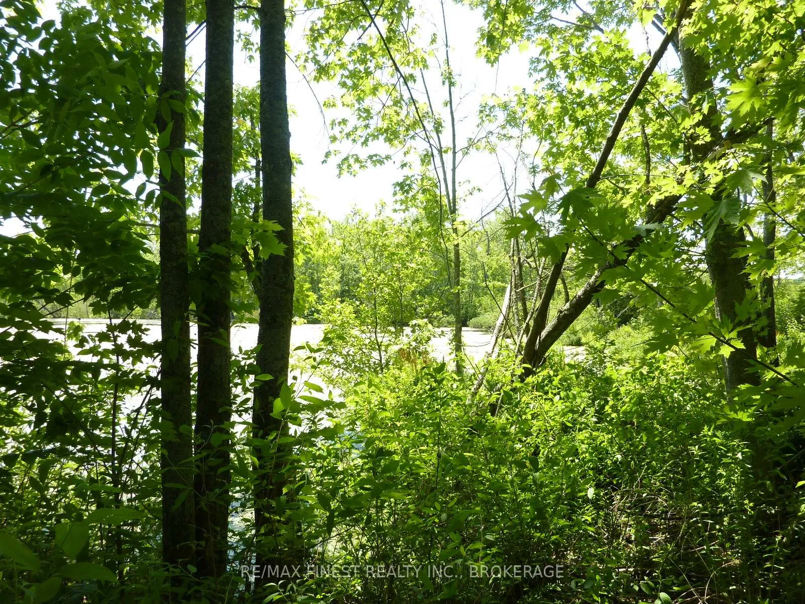 Photo 6 of 5021 Battersea Road, Frontenac, Frontenac South — HOMEH