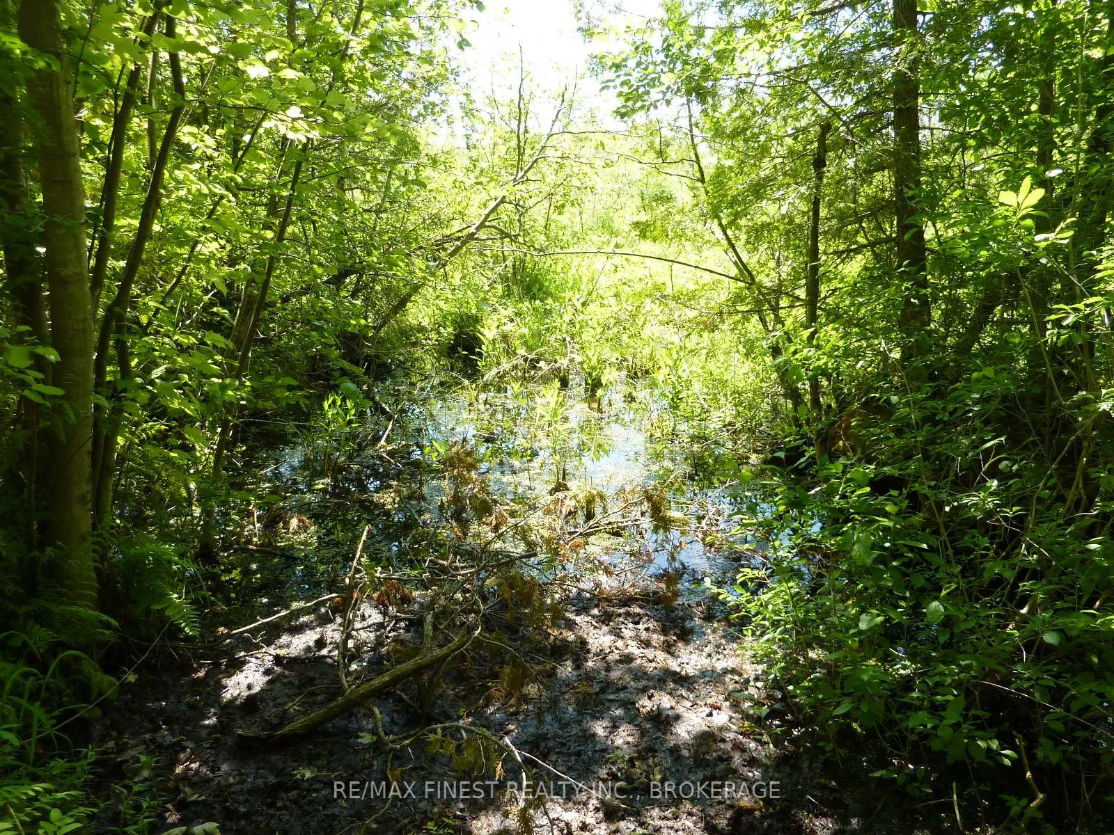 Photo 7 of 5021 Battersea Road, Frontenac, Frontenac South — HOMEH